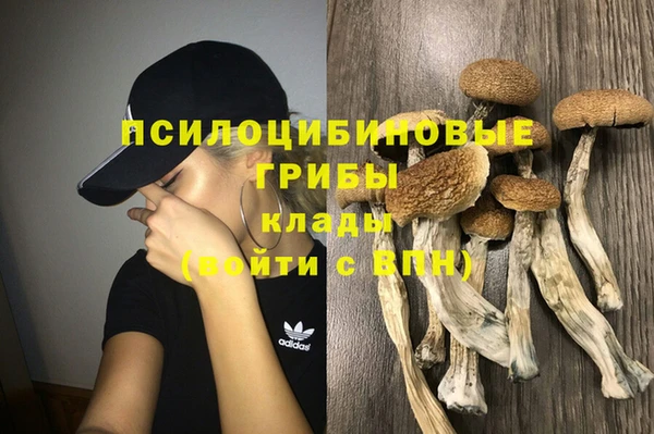 apvp Домодедово