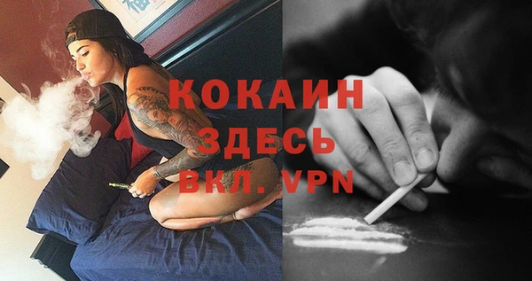 тгк Артём