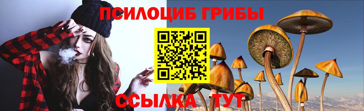 Бийск  Галлюциногенные грибы мицелий  Галлюциногенные грибы MAGIC MUSHROOMS  Вход с VPN 
