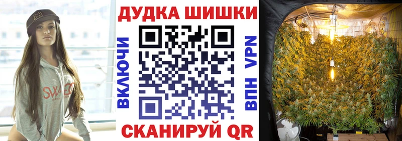 что такое наркотик  Бийск  ссылка на мегу ONION  МАРИХУАНА THC 21% 